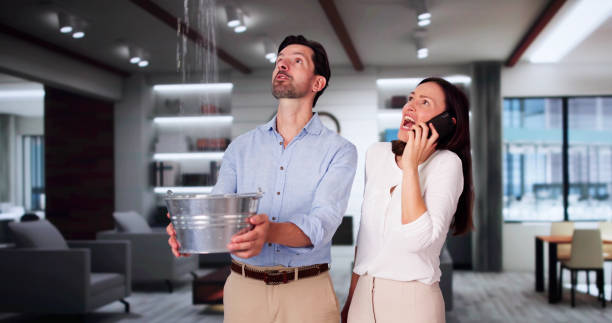 Best Water damage contractors near me  in Tazewell, VA